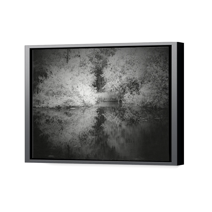 Thumbnail for Canvas - Black Floating Frame