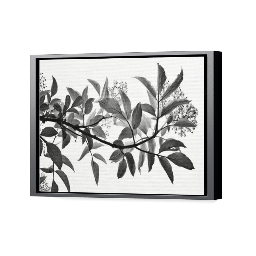 Thumbnail for Canvas - Black Floating Frame