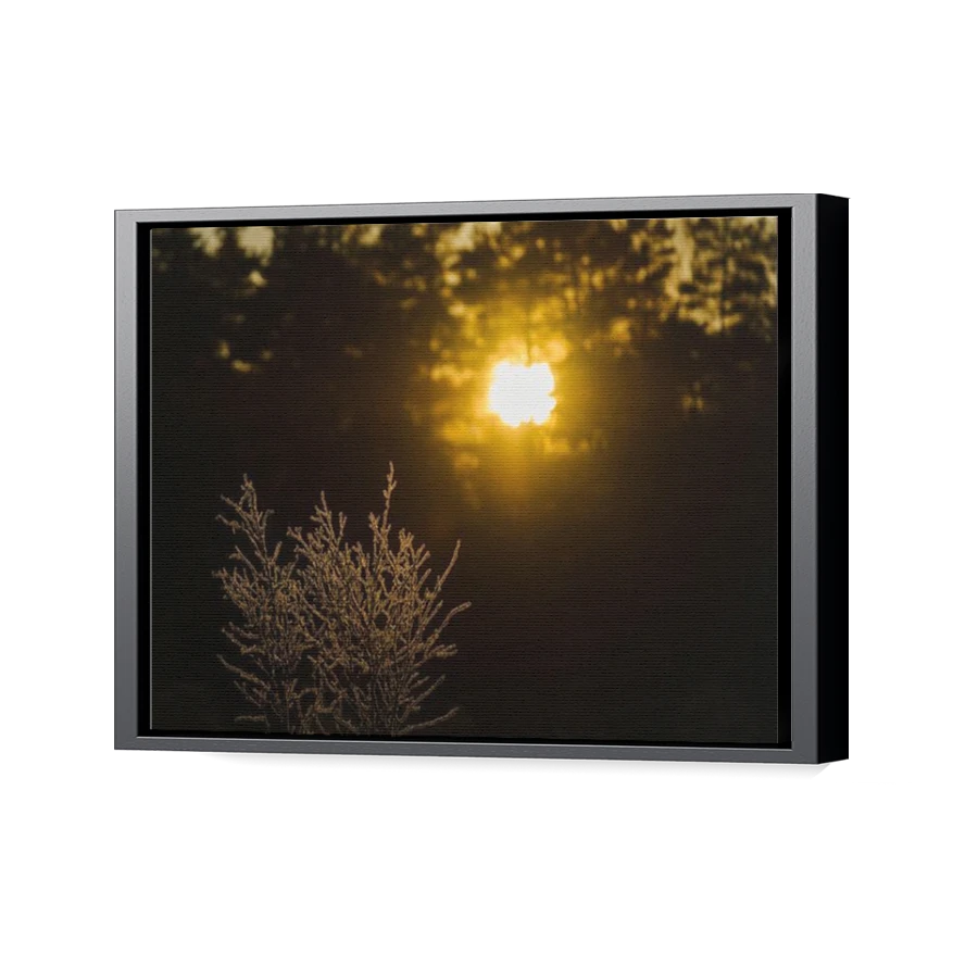 Thumbnail for Canvas - Black Floating Frame