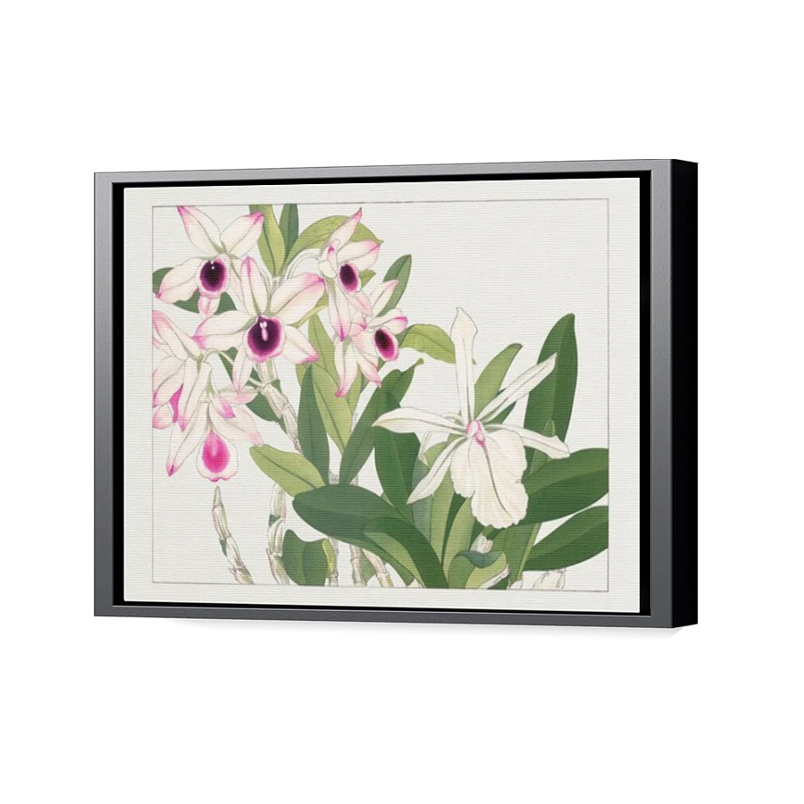 Thumbnail for Canvas - Black Floating Frame