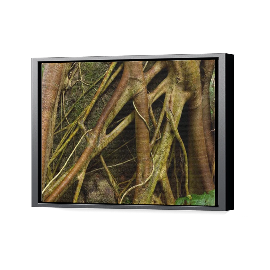 Thumbnail for Canvas - Black Floating Frame