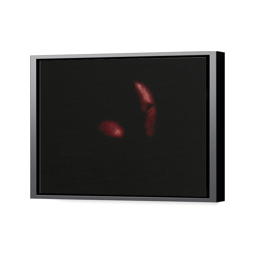 Thumbnail for Canvas - Black Floating Frame