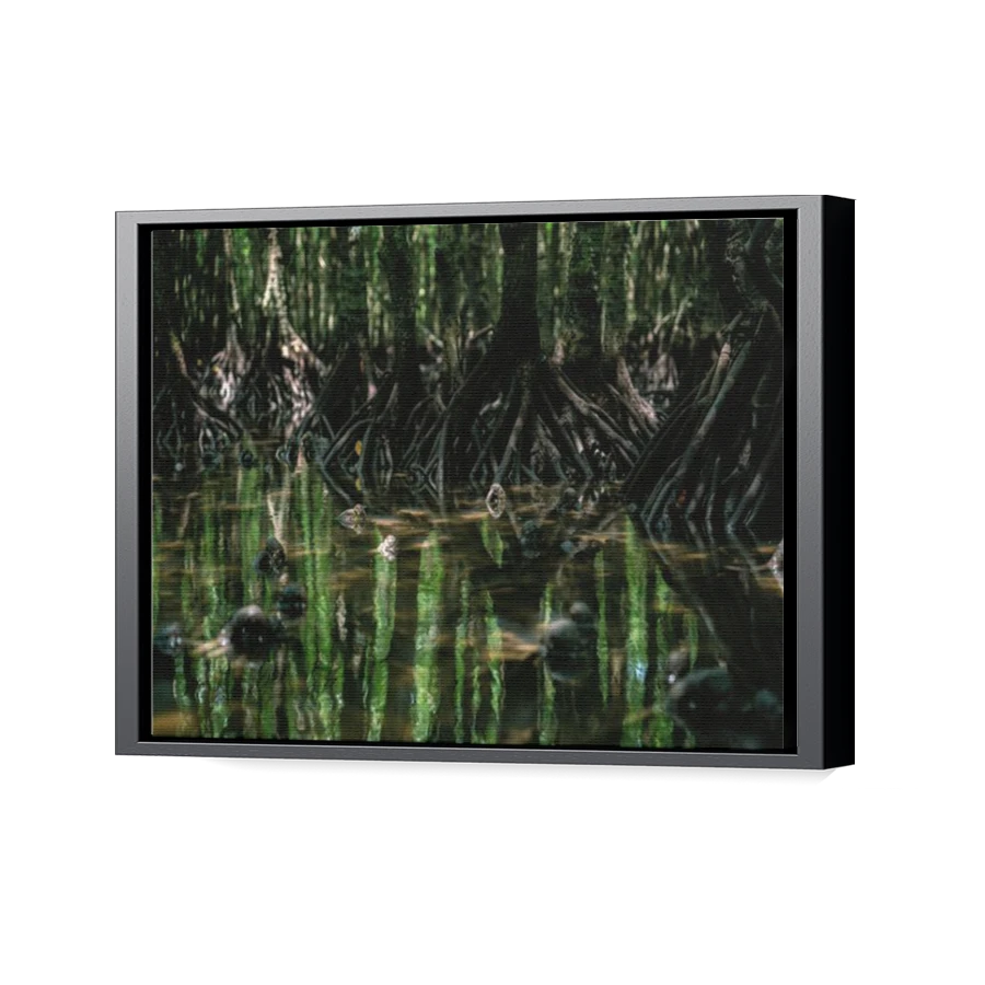 Thumbnail for Canvas - Black Floating Frame