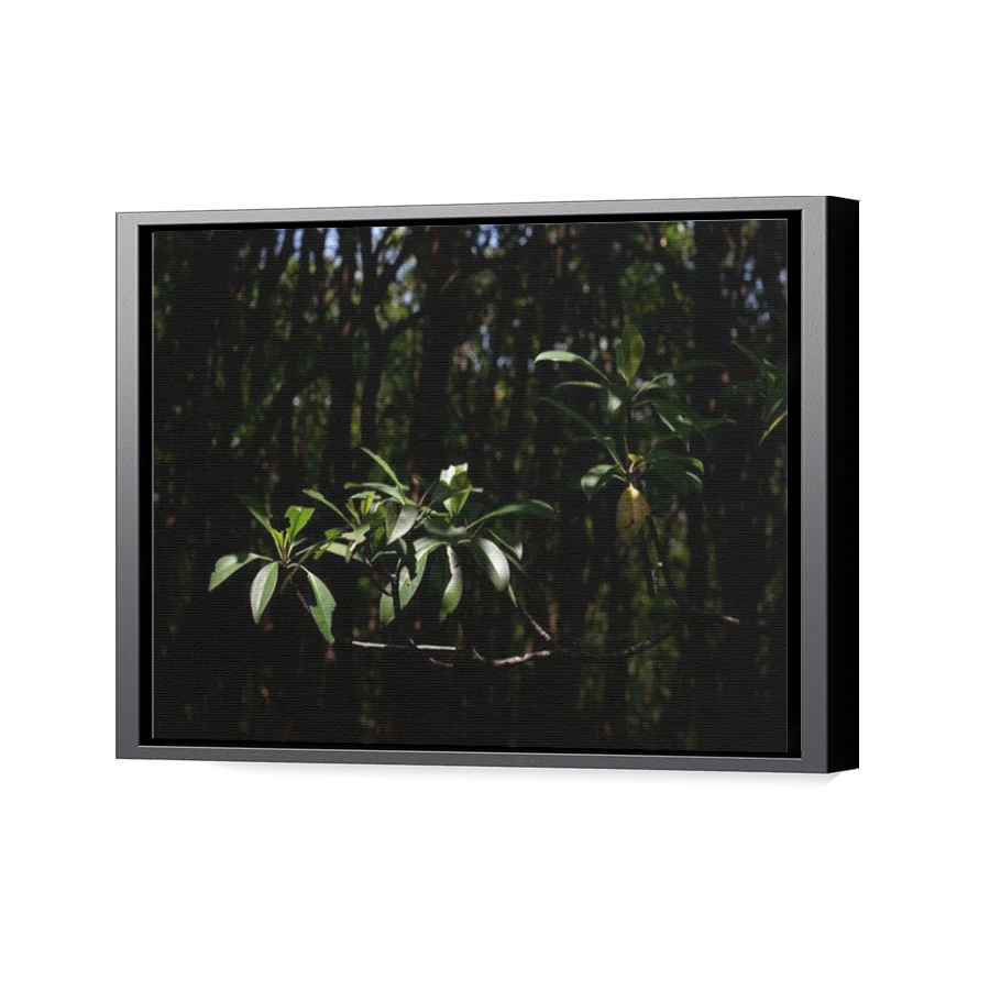 Thumbnail for Canvas - Black Floating Frame
