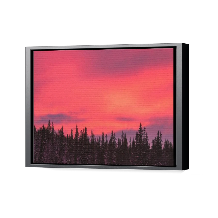 Thumbnail for Canvas - Black Floating Frame