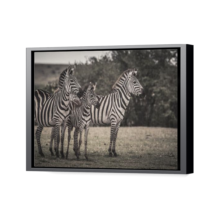 Thumbnail for Canvas - Black Floating Frame