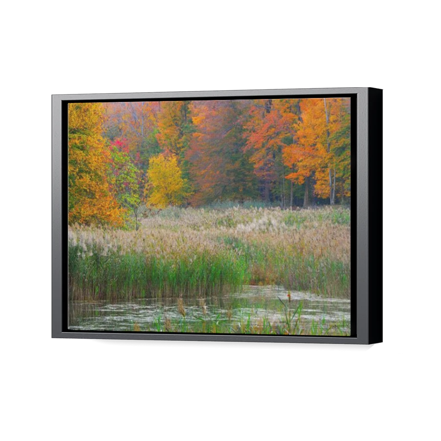 Thumbnail for Canvas - Black Floating Frame