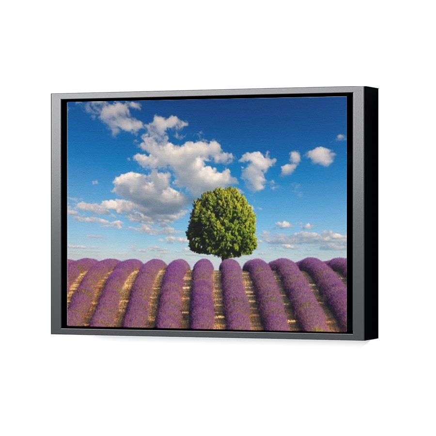 Thumbnail for Canvas - Black Floating Frame