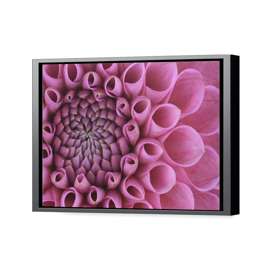 Thumbnail for Canvas - Black Floating Frame