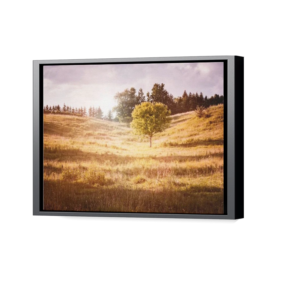 Thumbnail for Canvas - Black Floating Frame