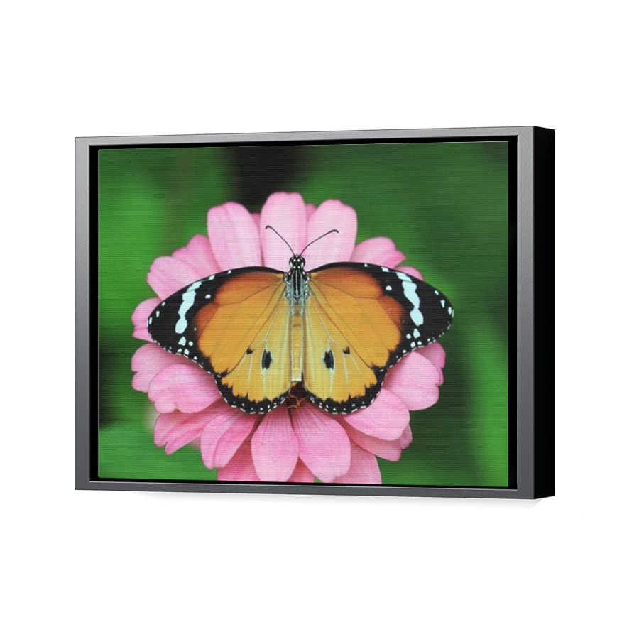Thumbnail for Canvas - Black Floating Frame
