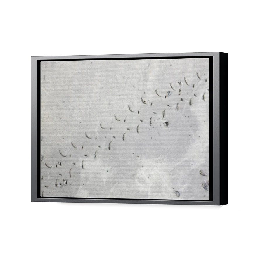 Thumbnail for Canvas - Black Floating Frame