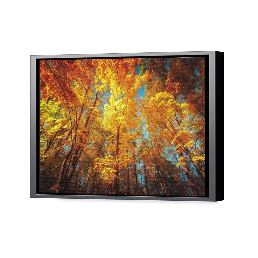 Thumbnail for Canvas - Black Floating Frame