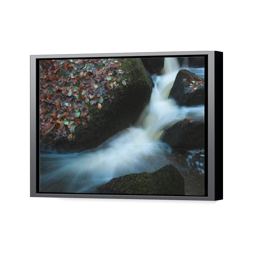 Thumbnail for Canvas - Black Floating Frame