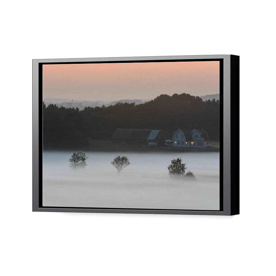 Thumbnail for Canvas - Black Floating Frame