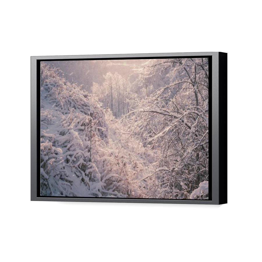 Thumbnail for Canvas - Black Floating Frame