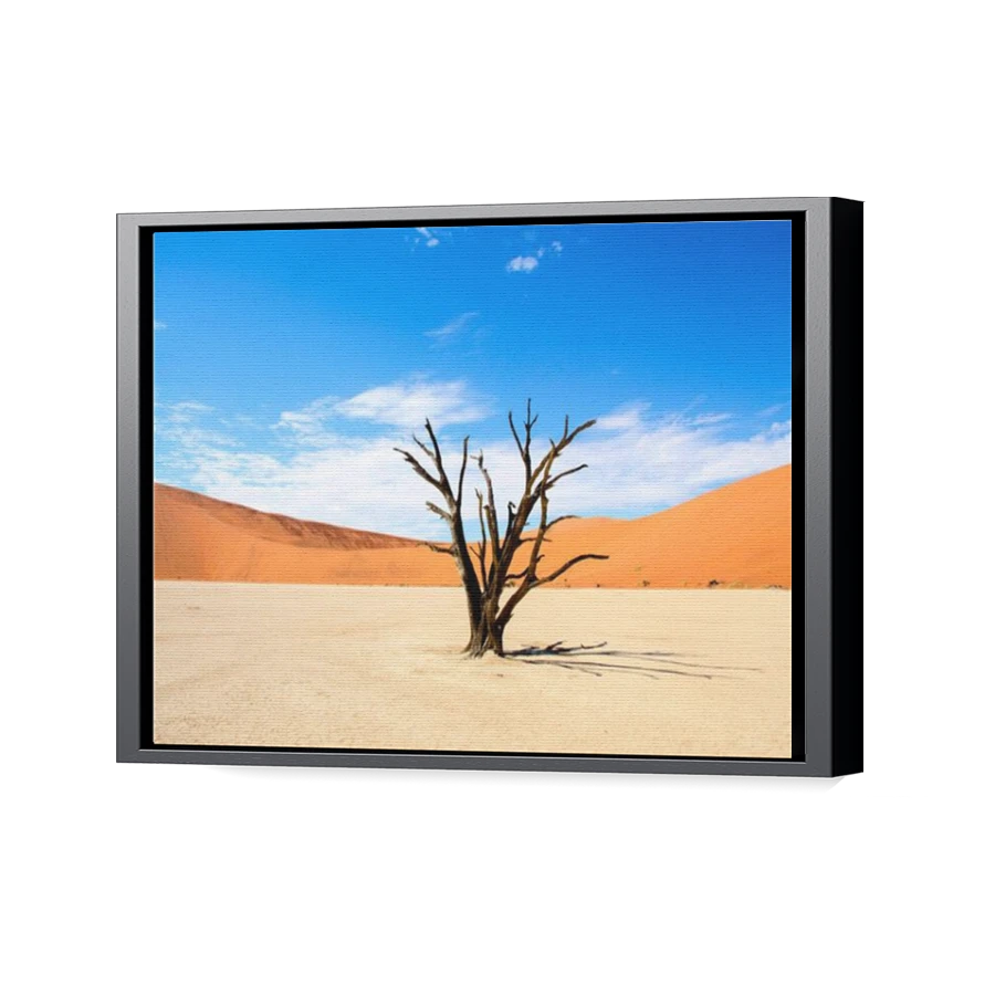 Thumbnail for Canvas - Black Floating Frame