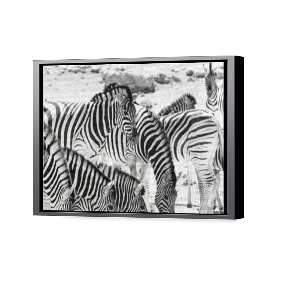 Thumbnail for Canvas - Black Floating Frame