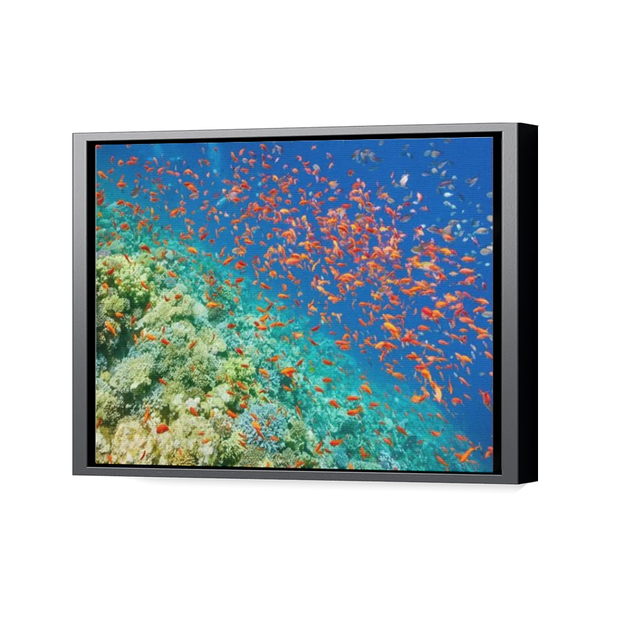 Thumbnail for Canvas - Black Floating Frame