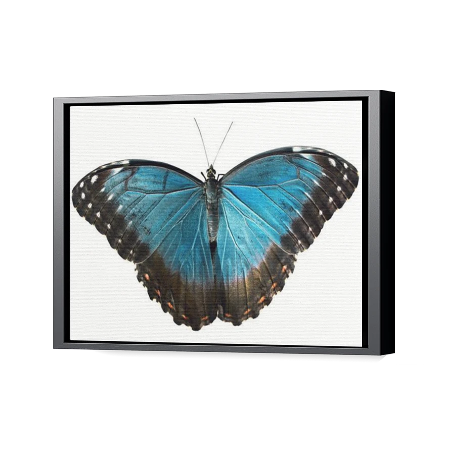 Thumbnail for Canvas - Black Floating Frame
