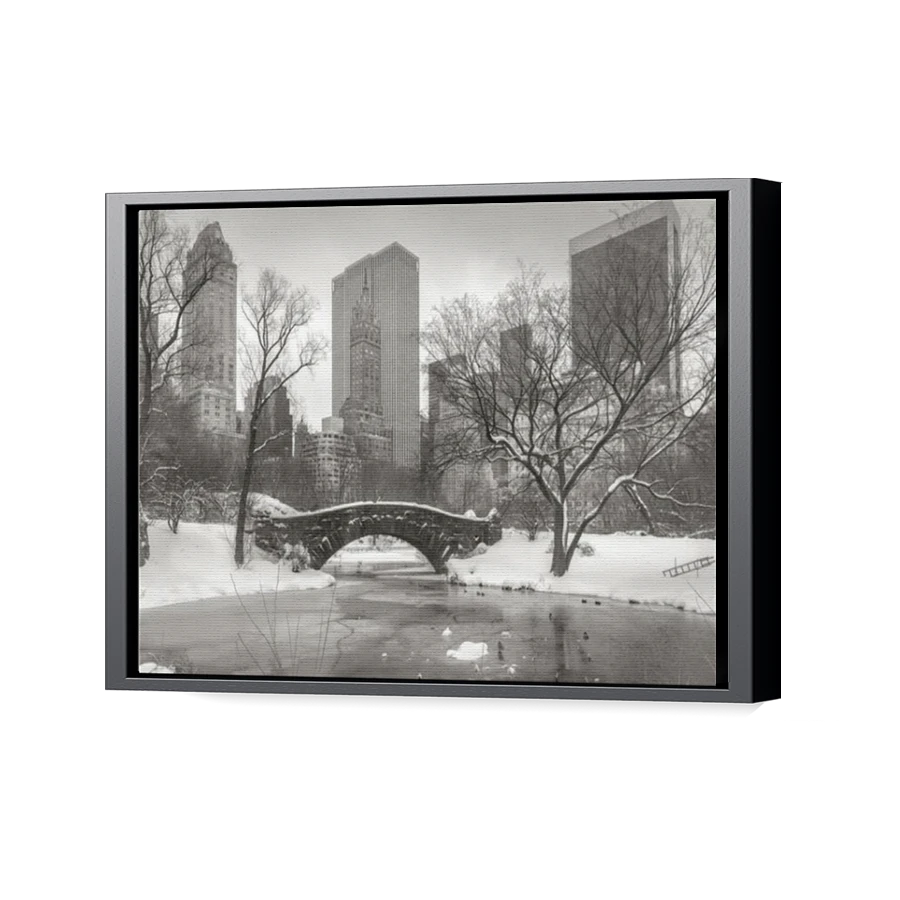 Thumbnail for Canvas - Black Floating Frame