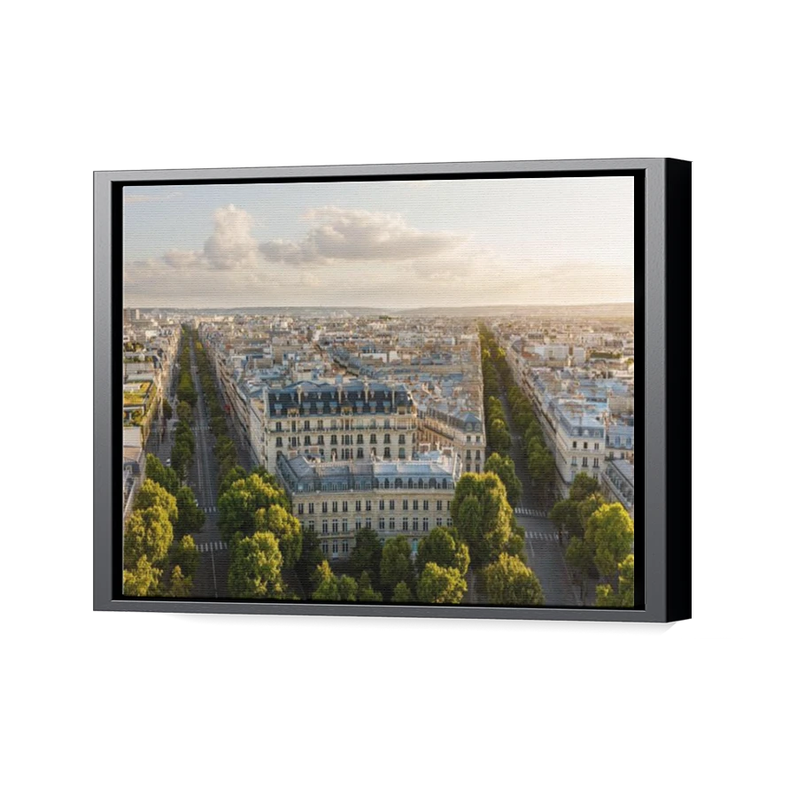 Thumbnail for Canvas - Black Floating Frame