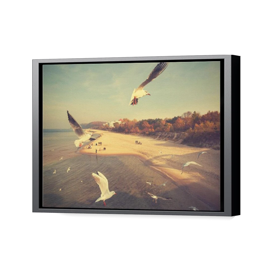 Thumbnail for Canvas - Black Floating Frame
