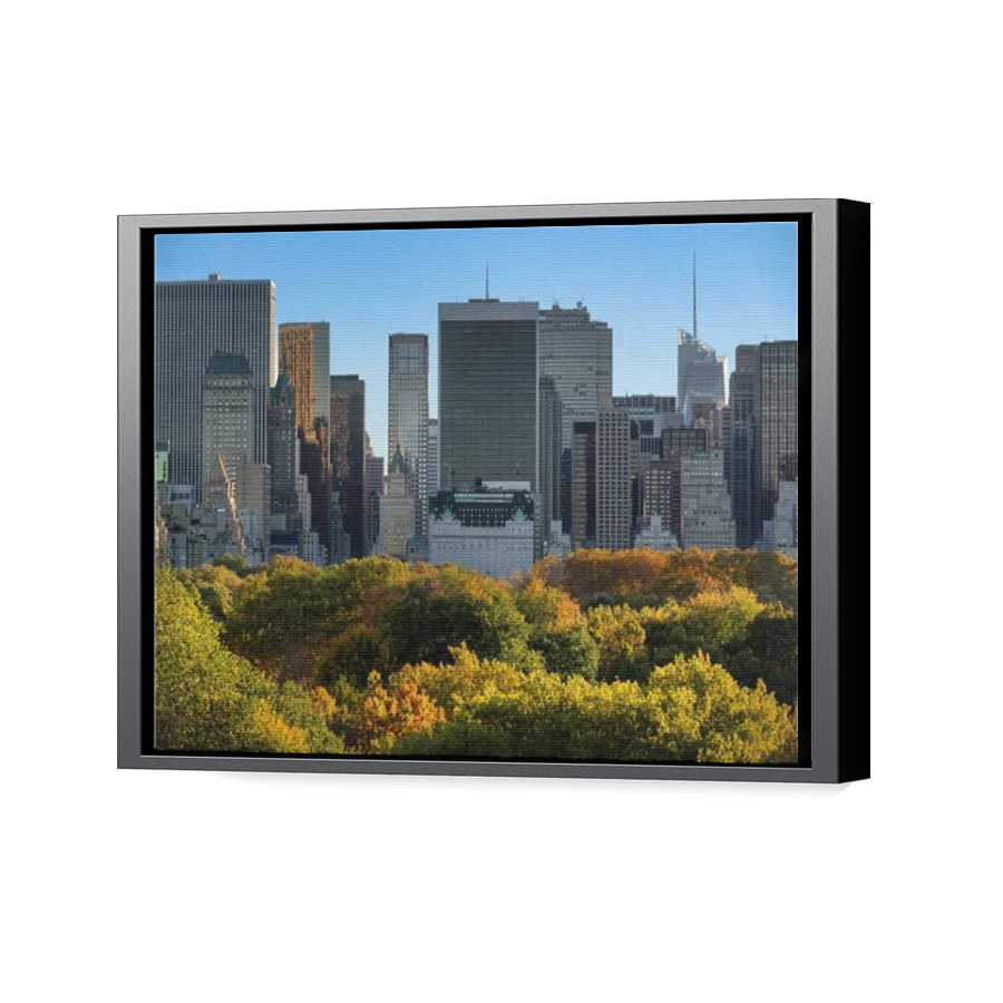 Thumbnail for Canvas - Black Floating Frame