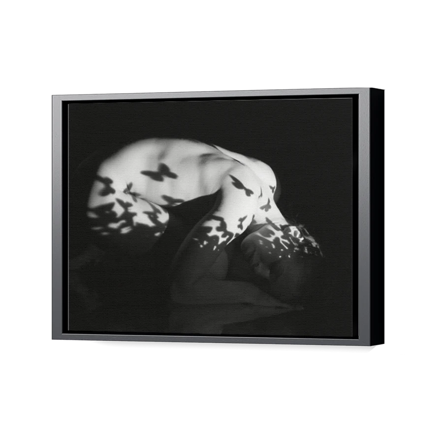 Thumbnail for Canvas - Black Floating Frame