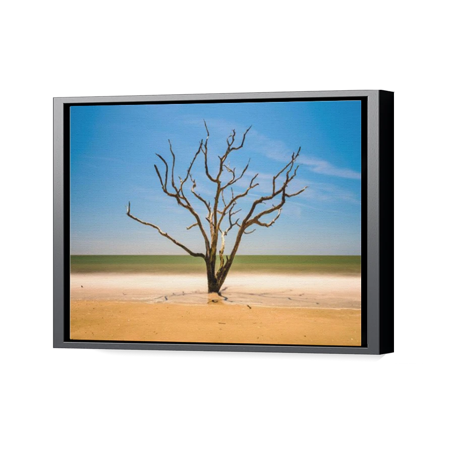 Thumbnail for Canvas - Black Floating Frame