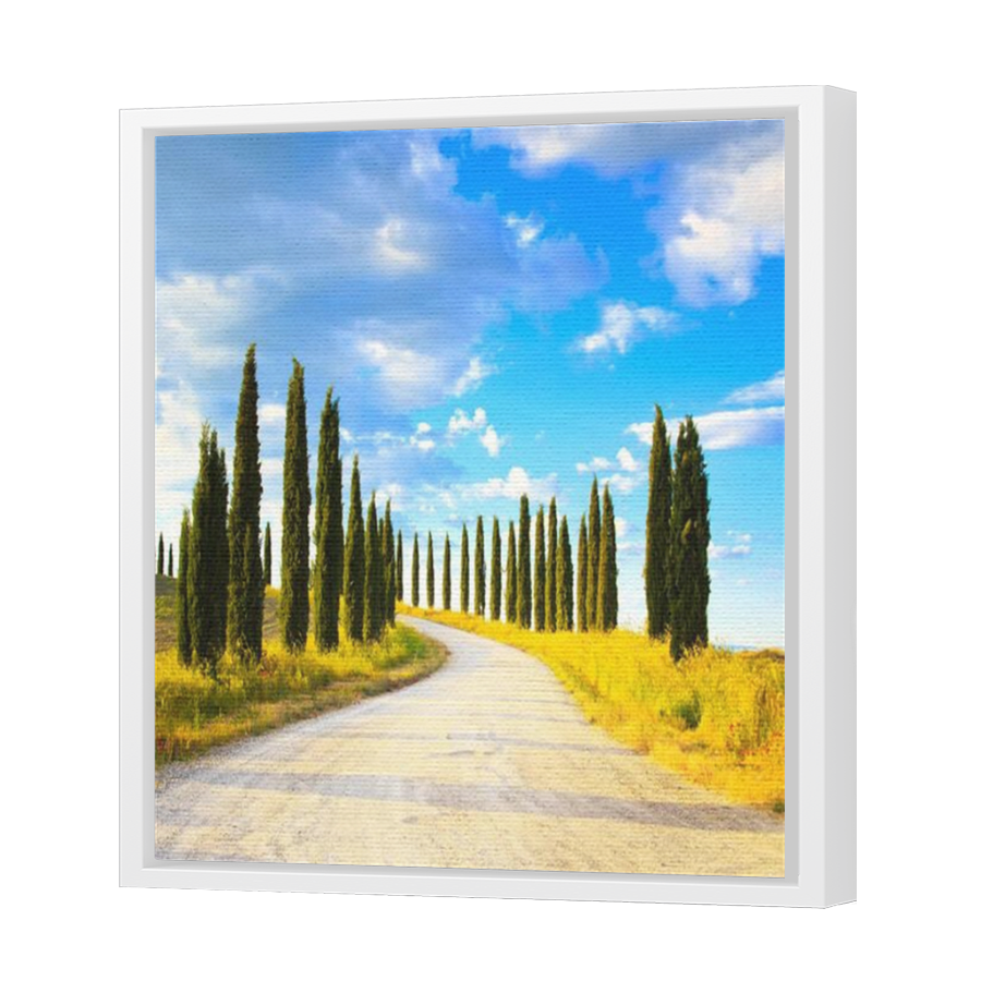 Thumbnail for Canvas - White Floating Frame