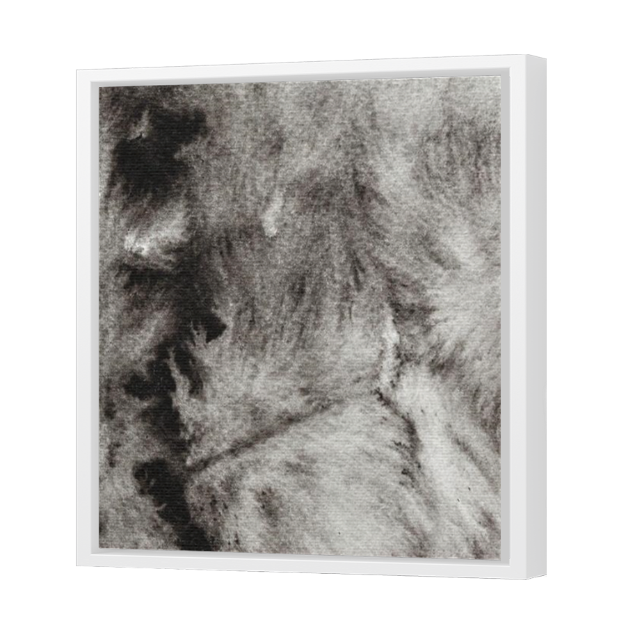 Thumbnail for Canvas - White Floating Frame