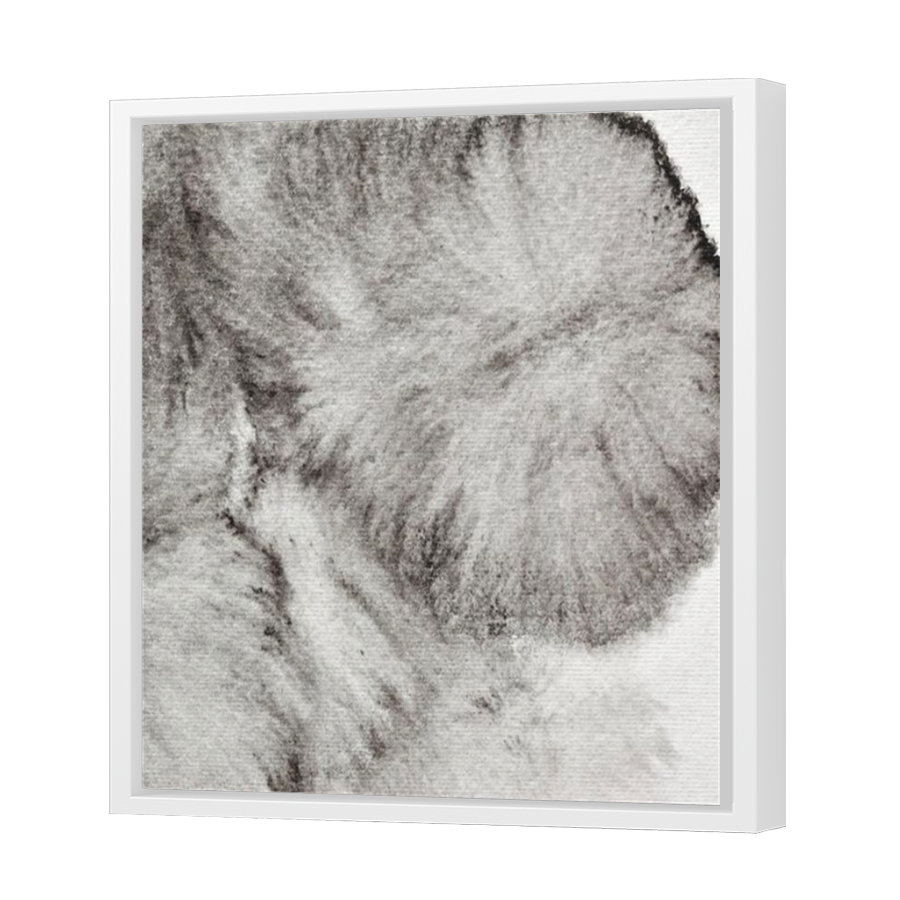 Thumbnail for Canvas - White Floating Frame