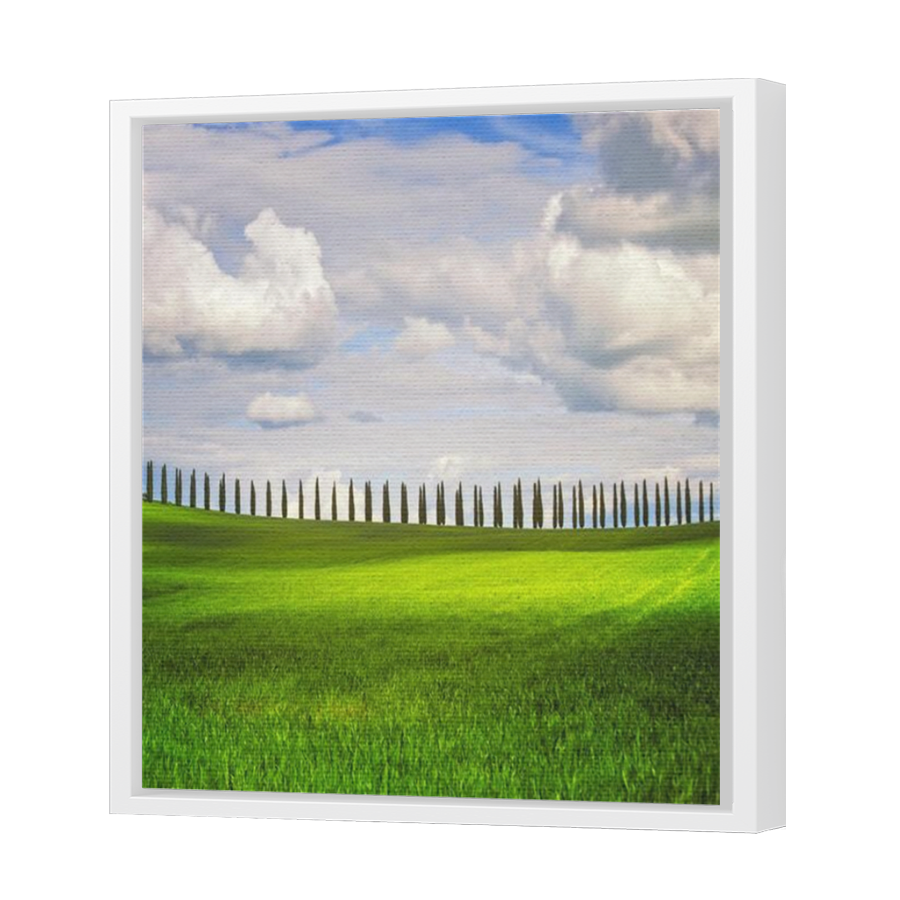 Thumbnail for Canvas - White Floating Frame
