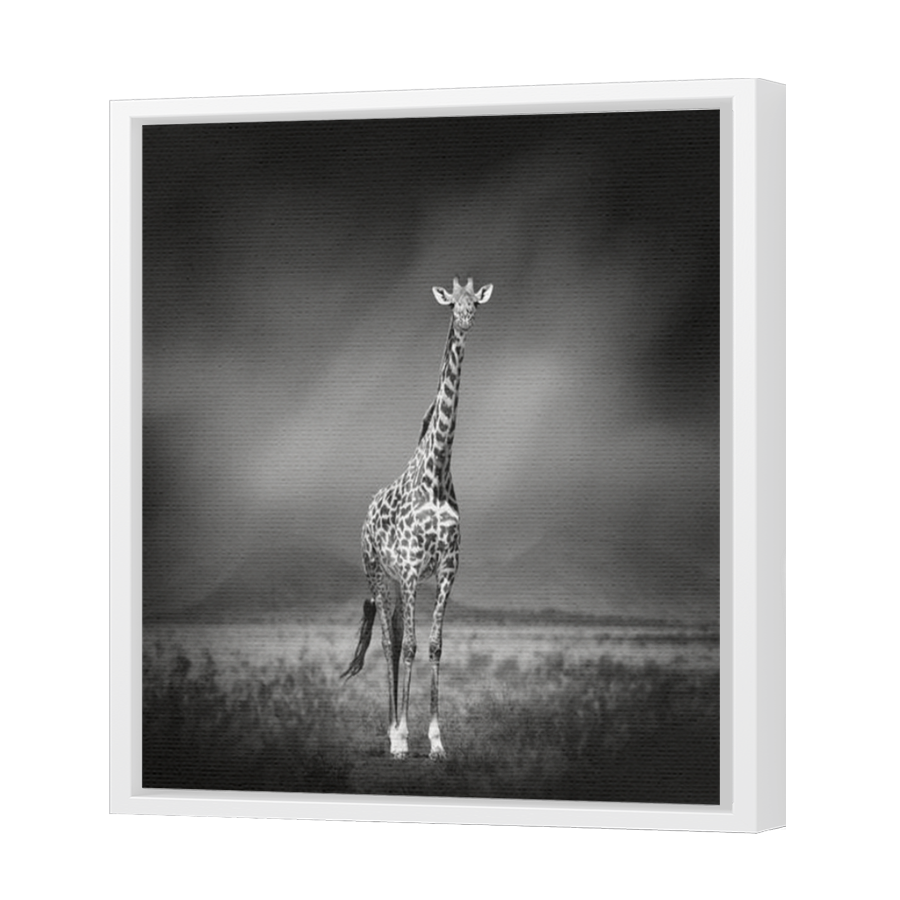 Thumbnail for Canvas - White Floating Frame