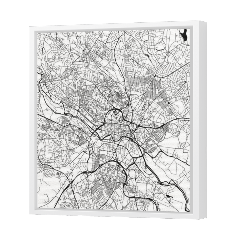 Thumbnail for Canvas - White Floating Frame