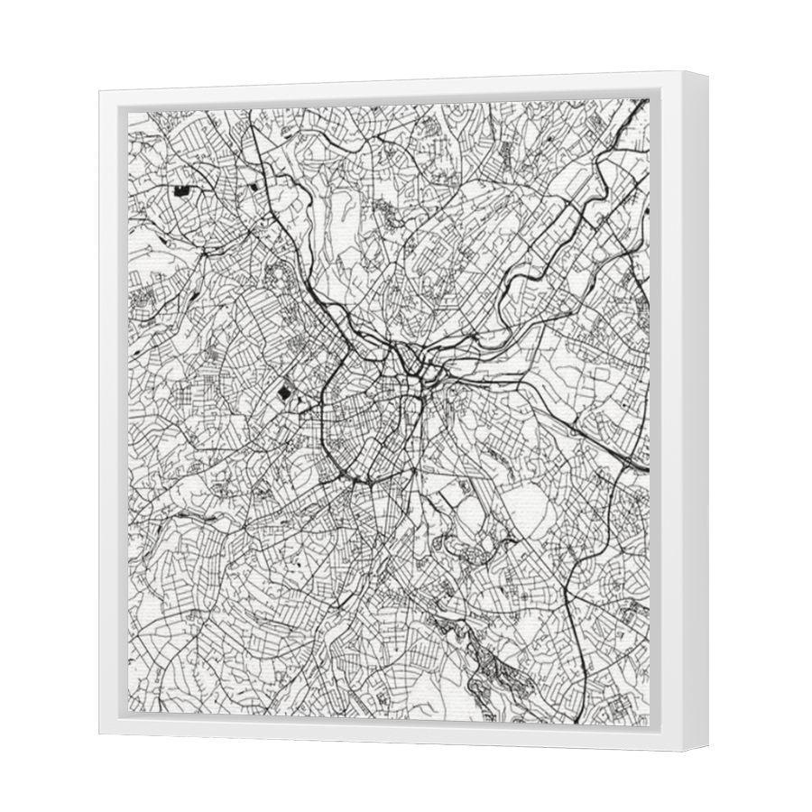 Thumbnail for Canvas - White Floating Frame