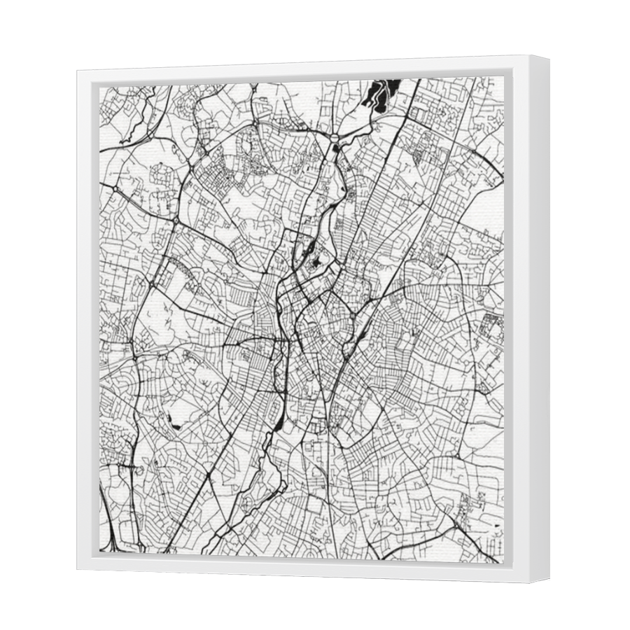 Thumbnail for Canvas - White Floating Frame