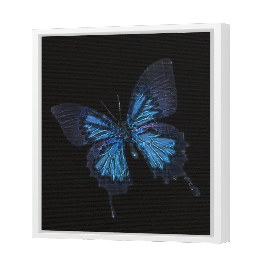 Thumbnail for Canvas - White Floating Frame