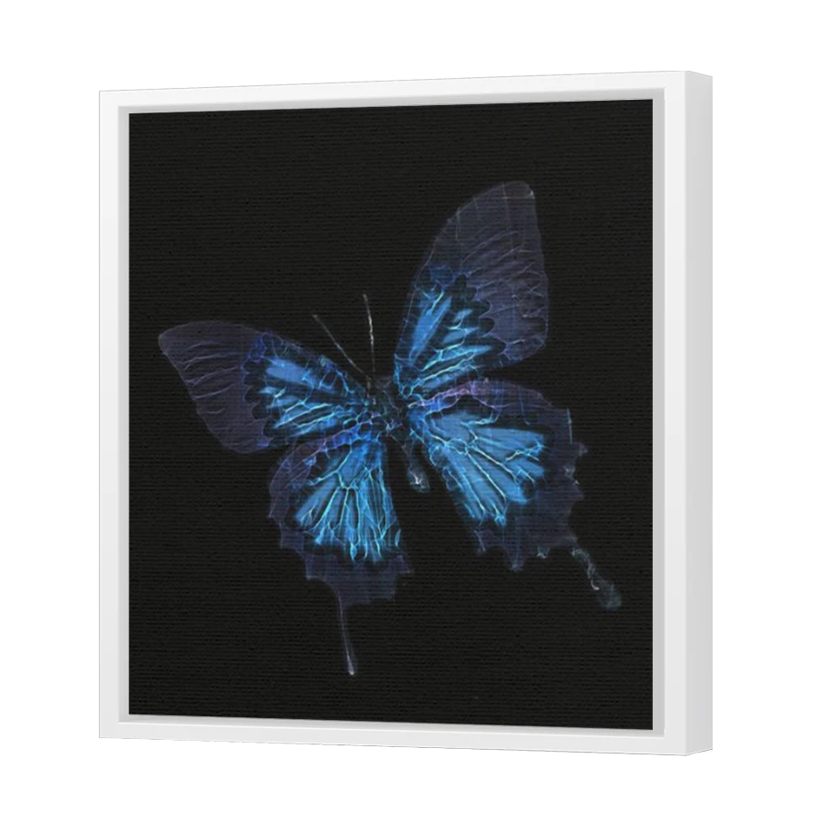 Thumbnail for Canvas - White Floating Frame
