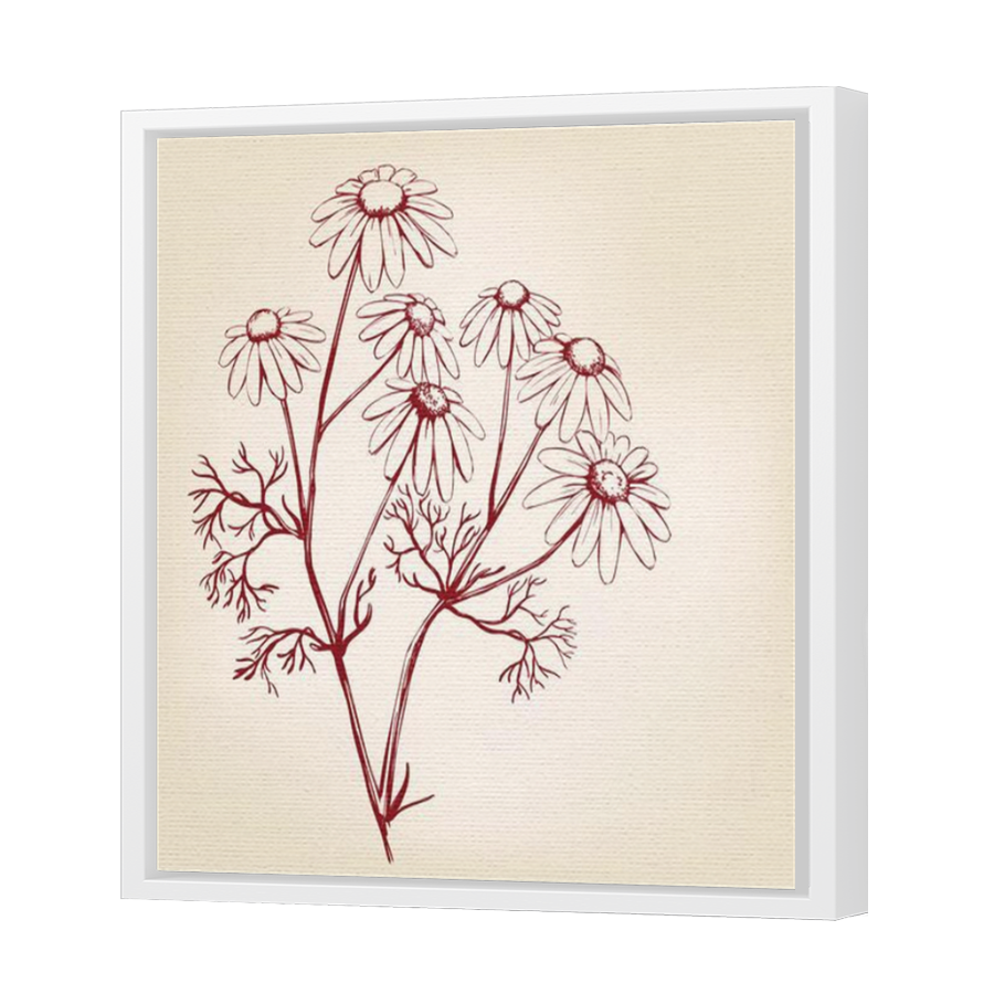 Thumbnail for Canvas - White Floating Frame
