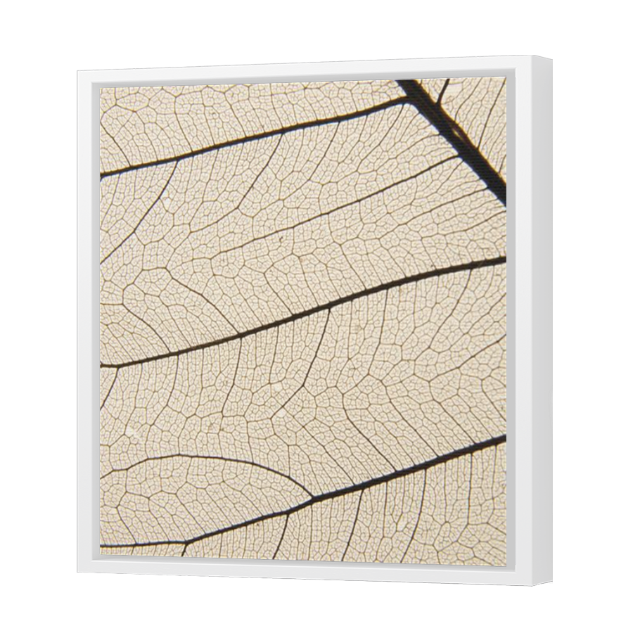 Thumbnail for Canvas - White Floating Frame