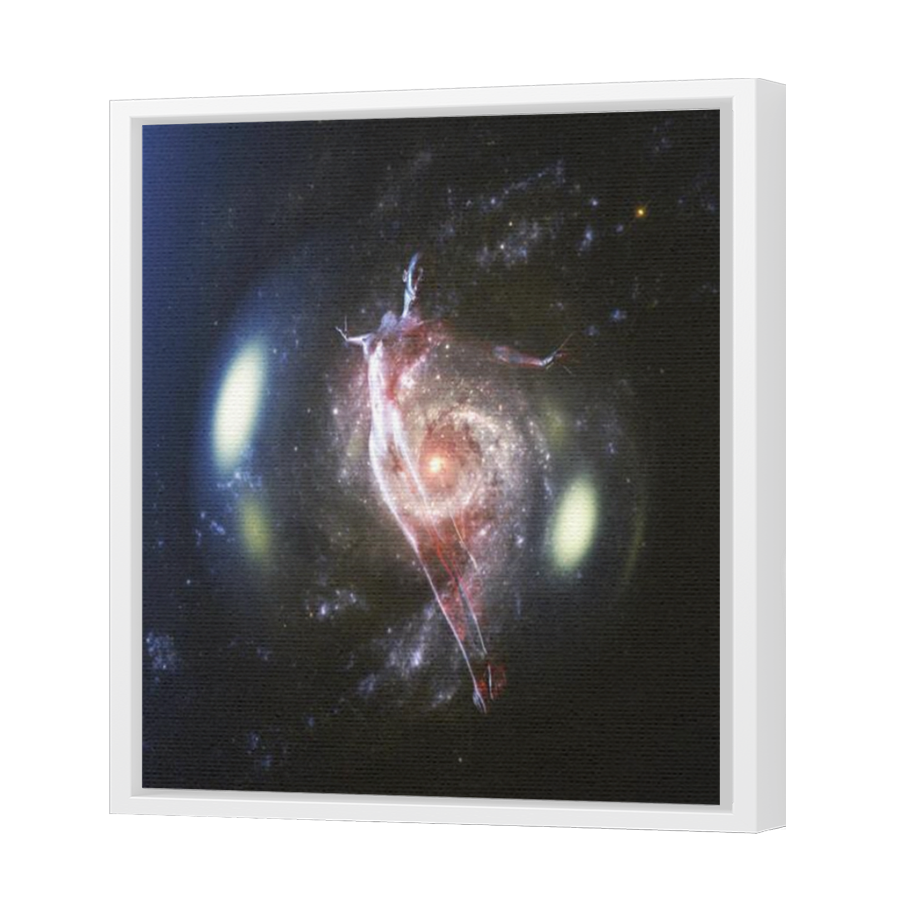 Thumbnail for Canvas - White Floating Frame