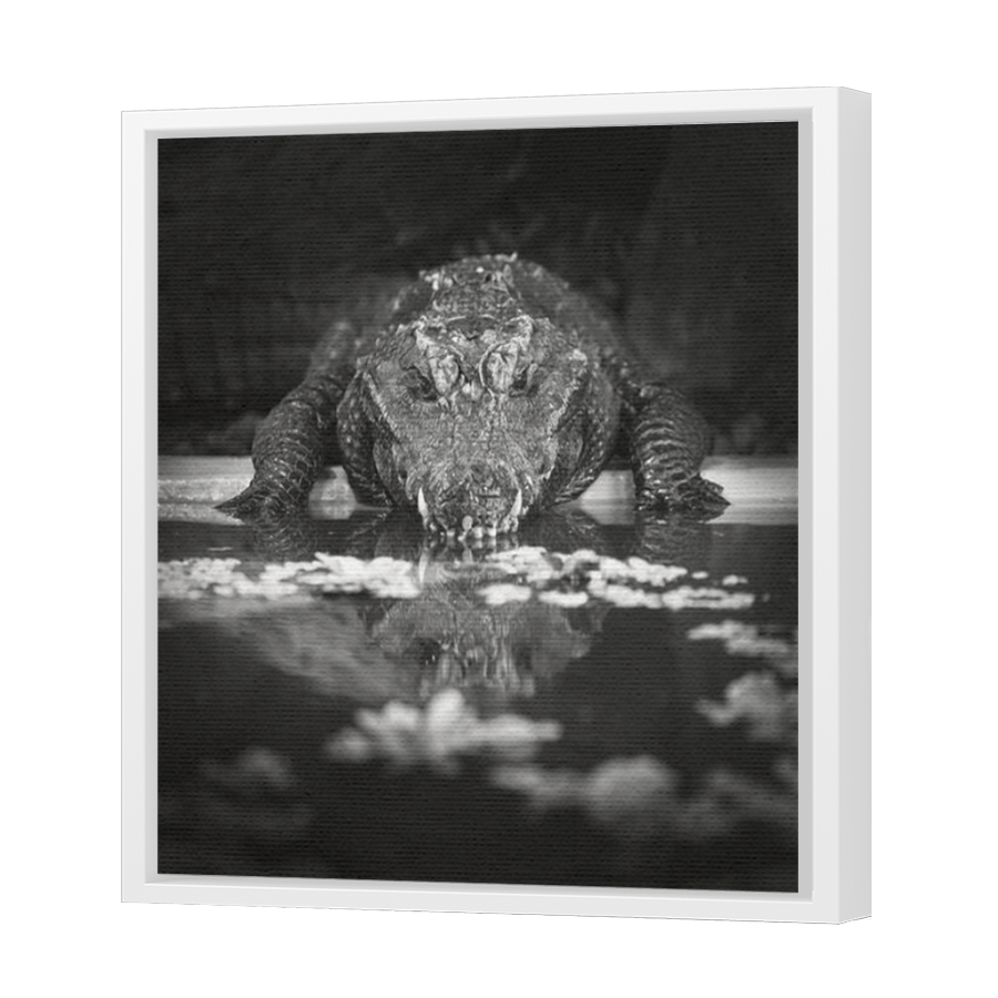 Thumbnail for Canvas - White Floating Frame
