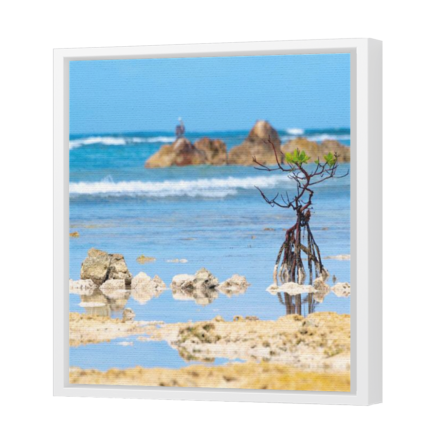 Thumbnail for Canvas - White Floating Frame