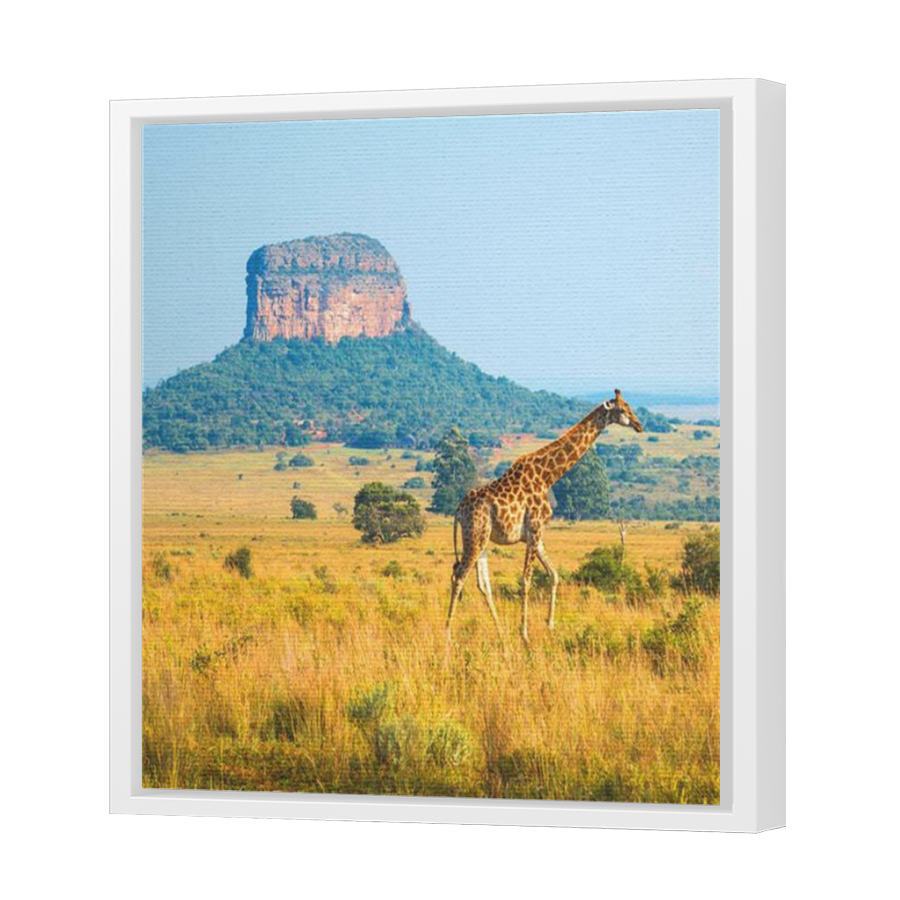 Thumbnail for Canvas - White Floating Frame