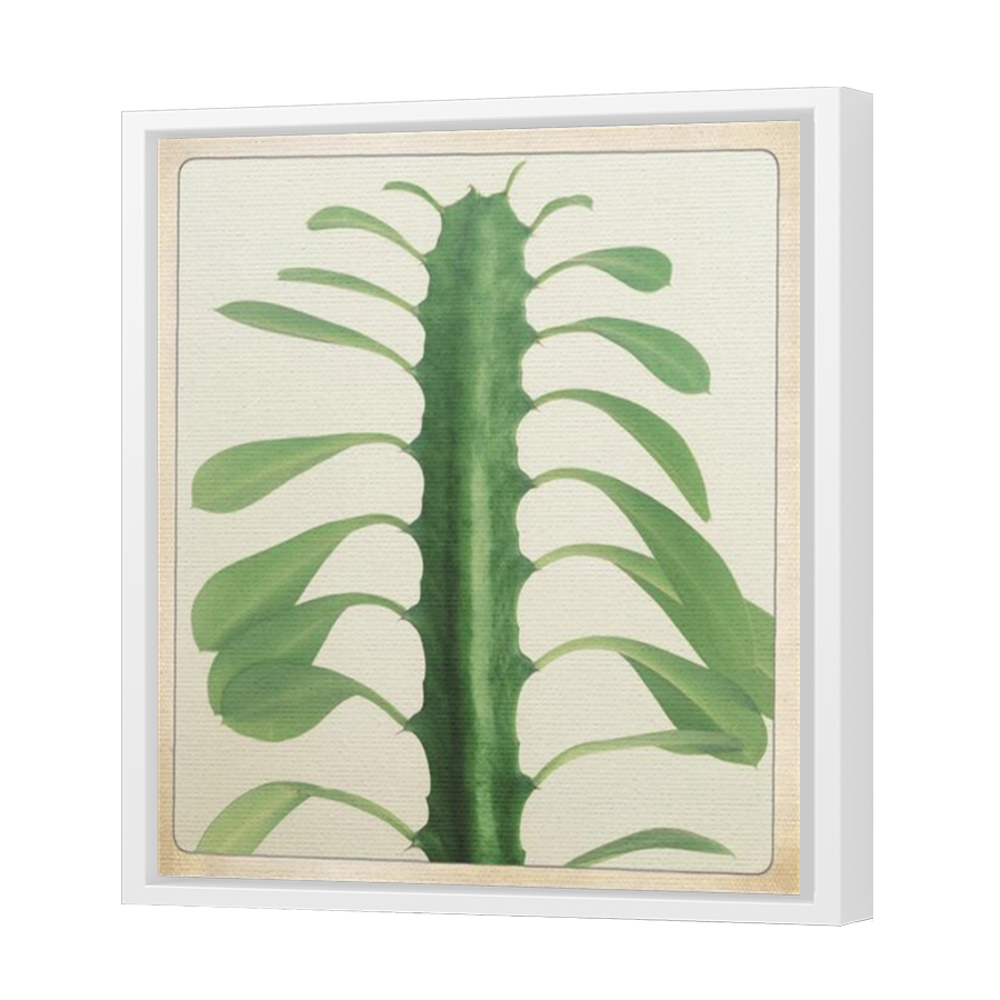 Thumbnail for Canvas - White Floating Frame