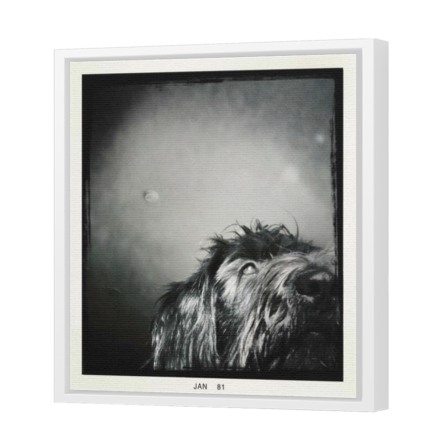 Thumbnail for Canvas - White Floating Frame