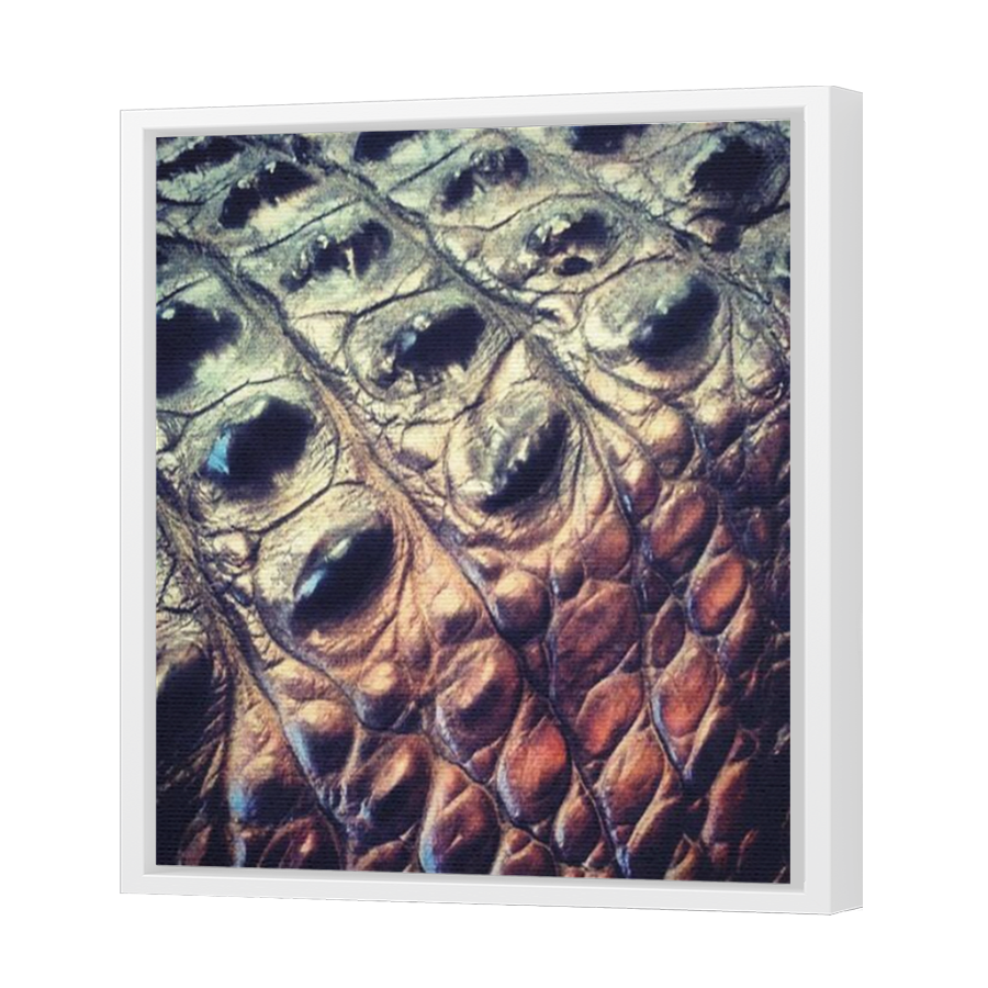 Thumbnail for Canvas - White Floating Frame