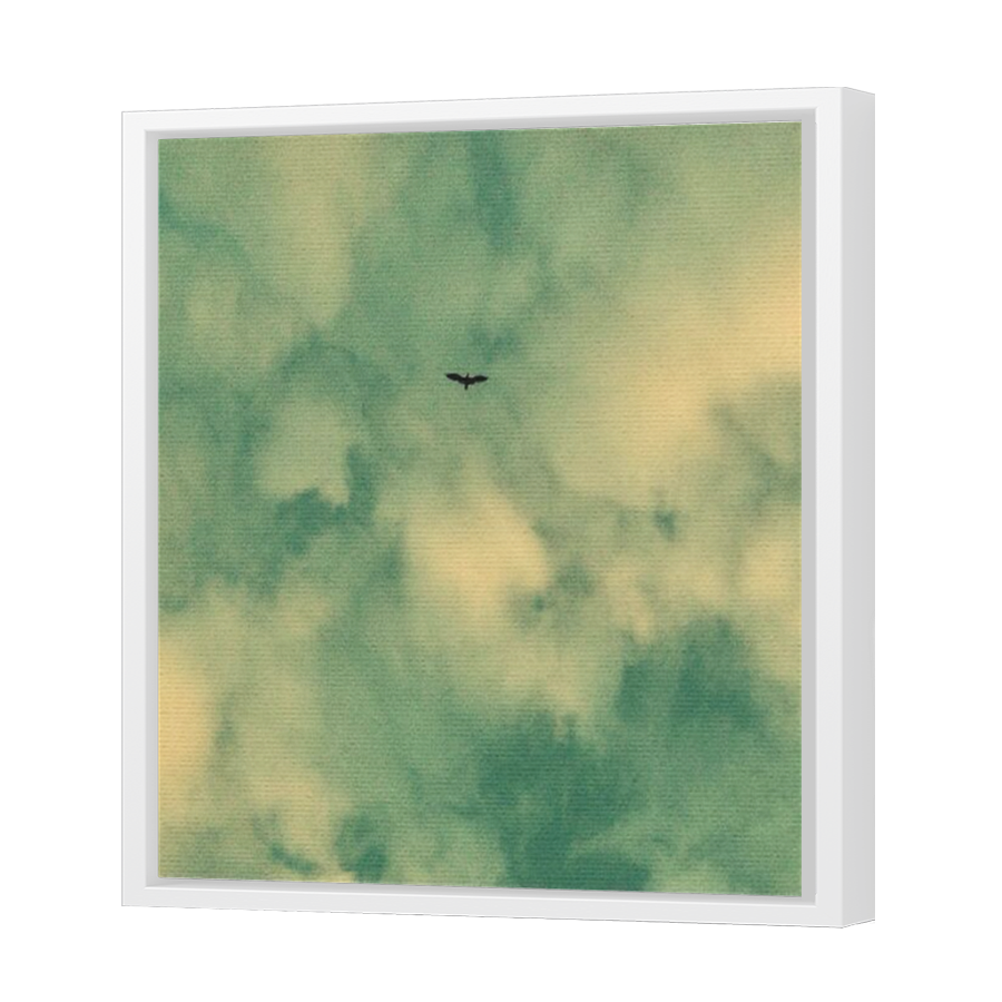 Thumbnail for Canvas - White Floating Frame
